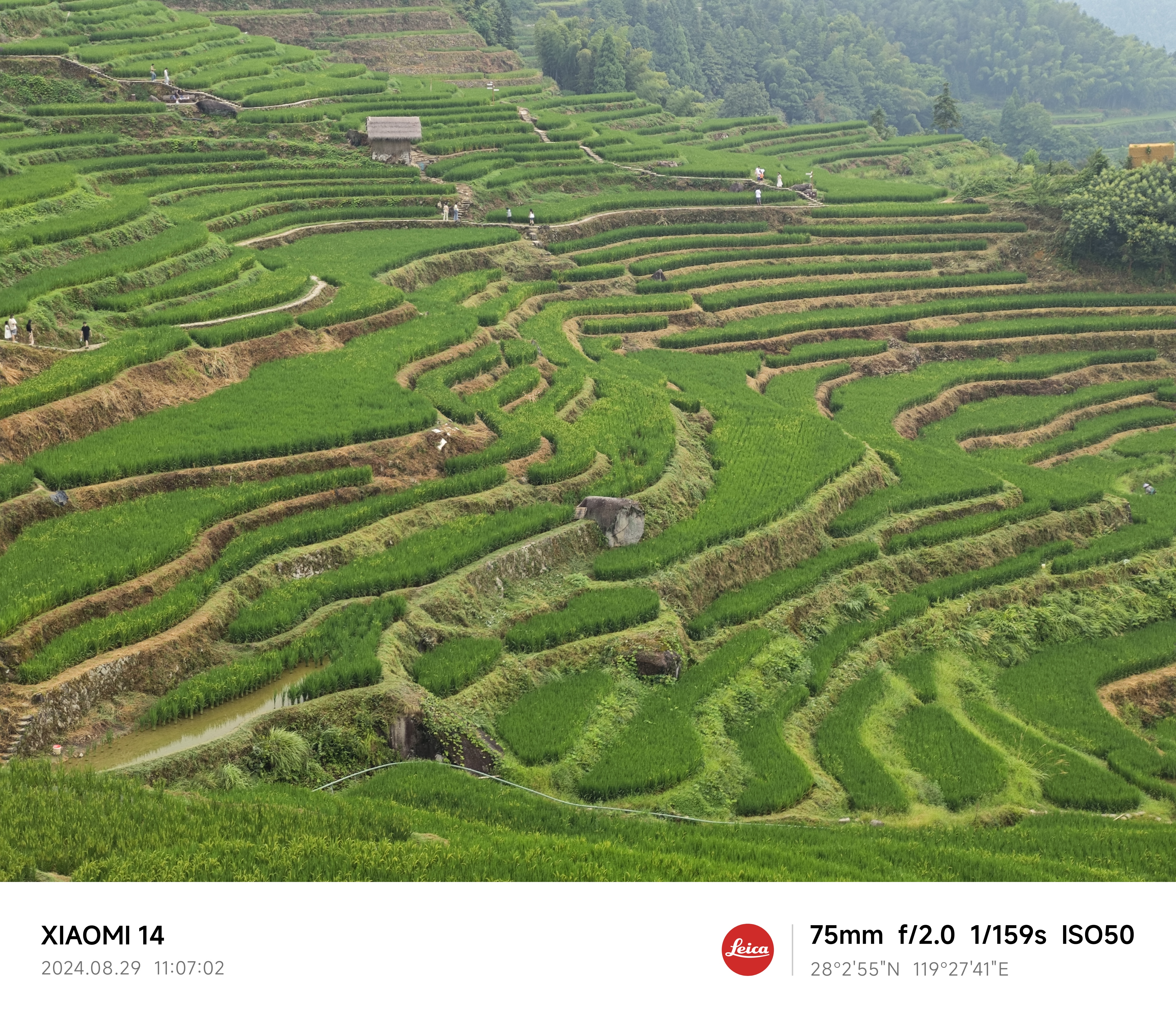 IMG_20240829_110702.jpg|350