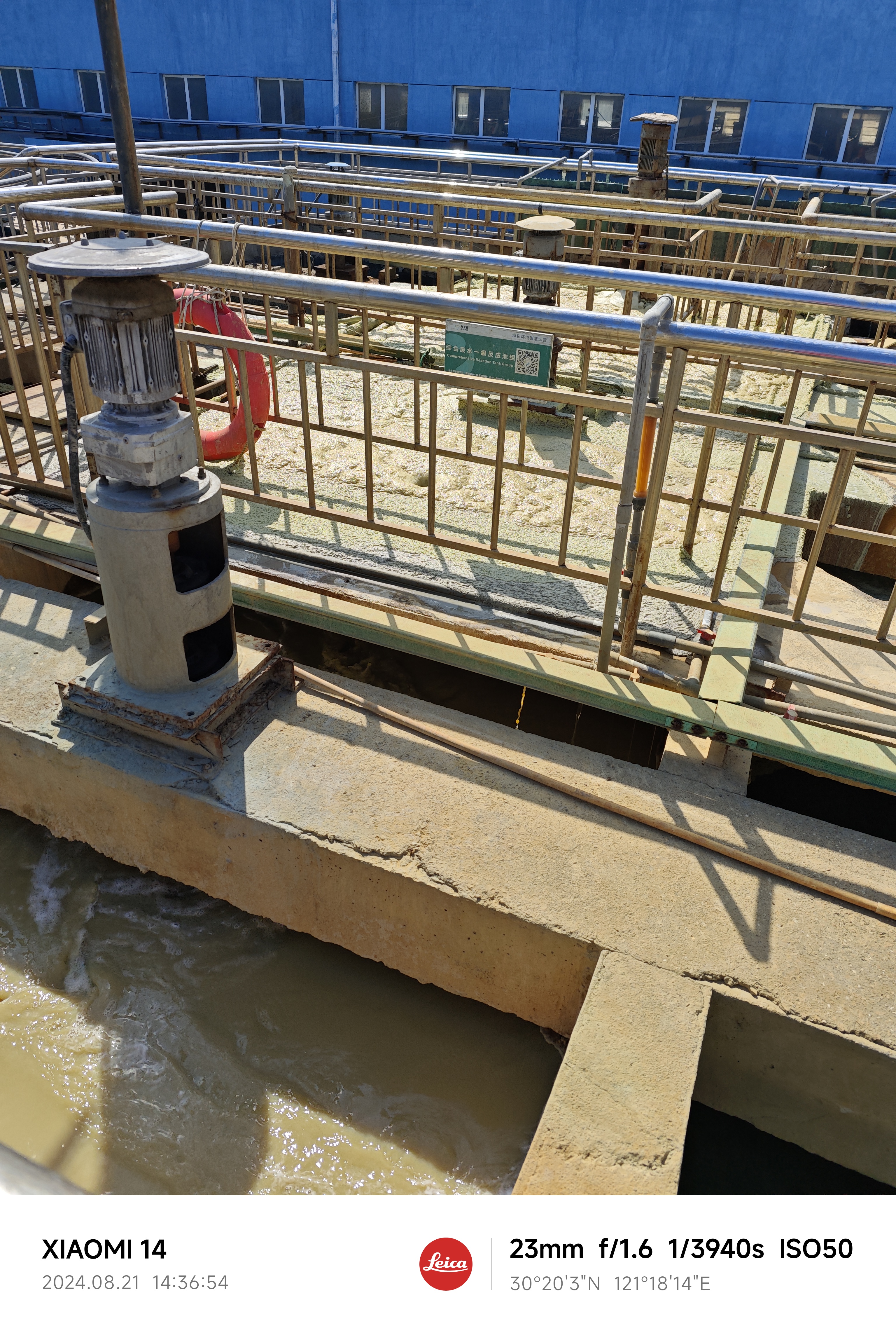 IMG_20240821_143654.jpg|350