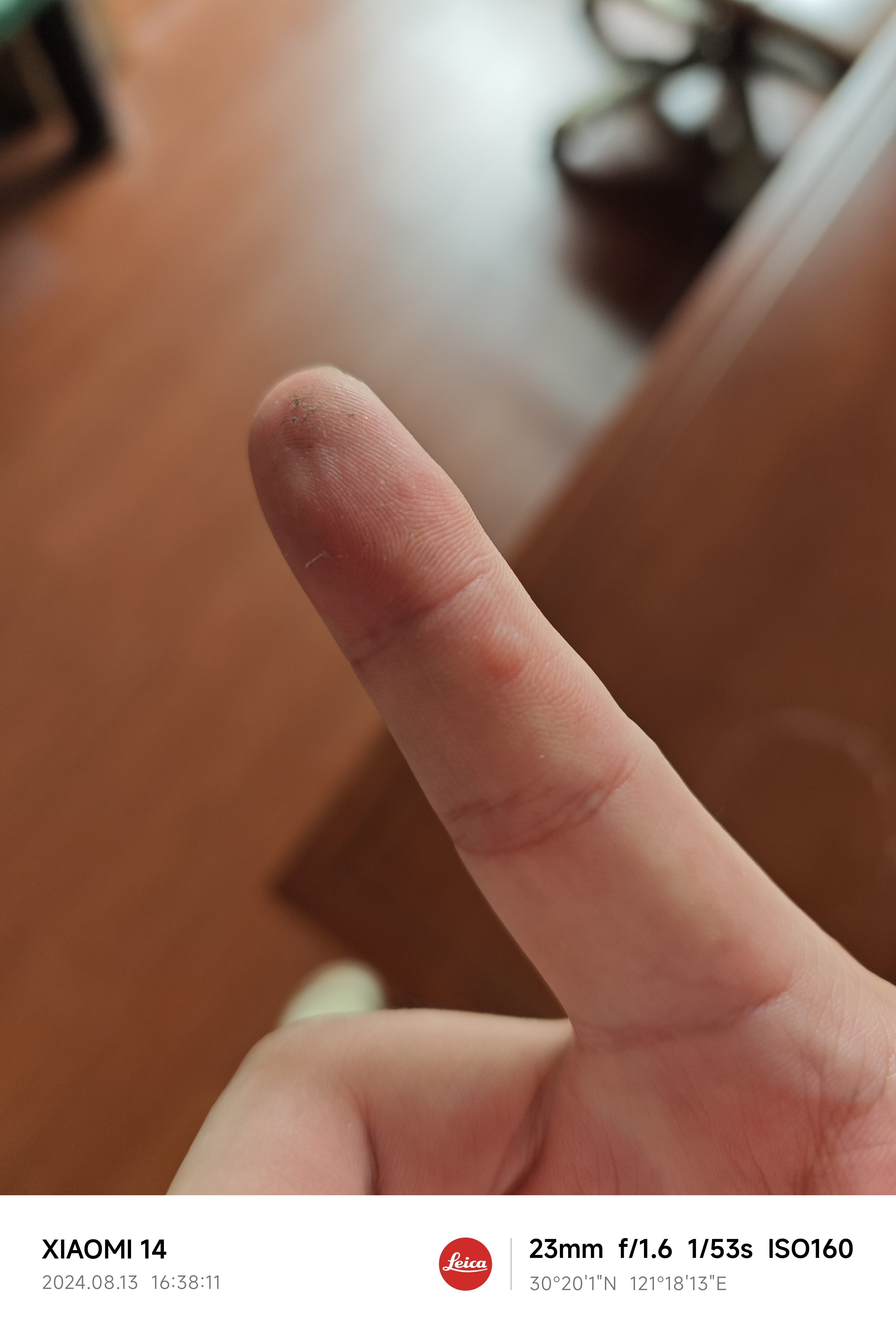 IMG_20240813_163811.jpg|300