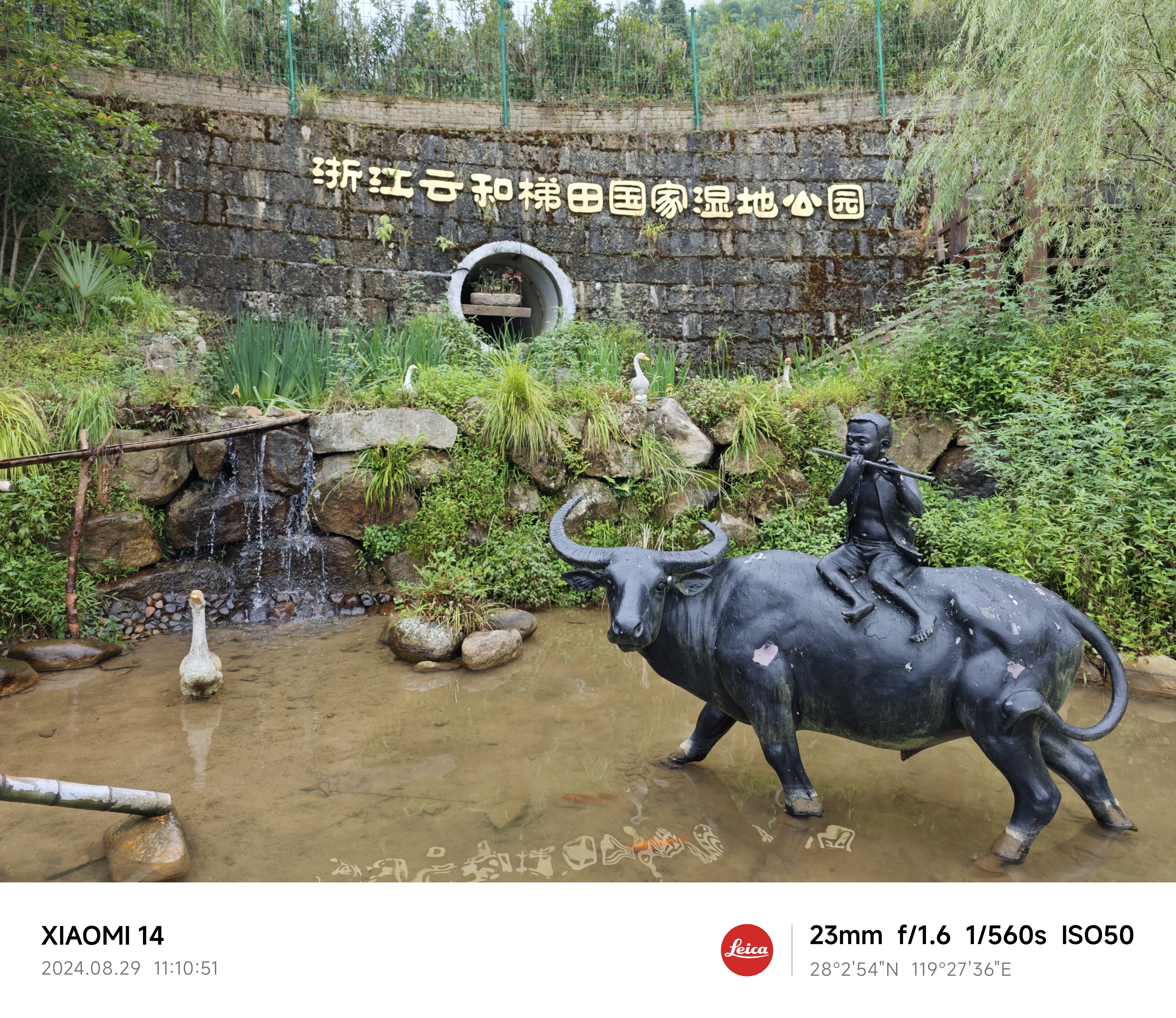 IMG_20240829_111051.jpg|350