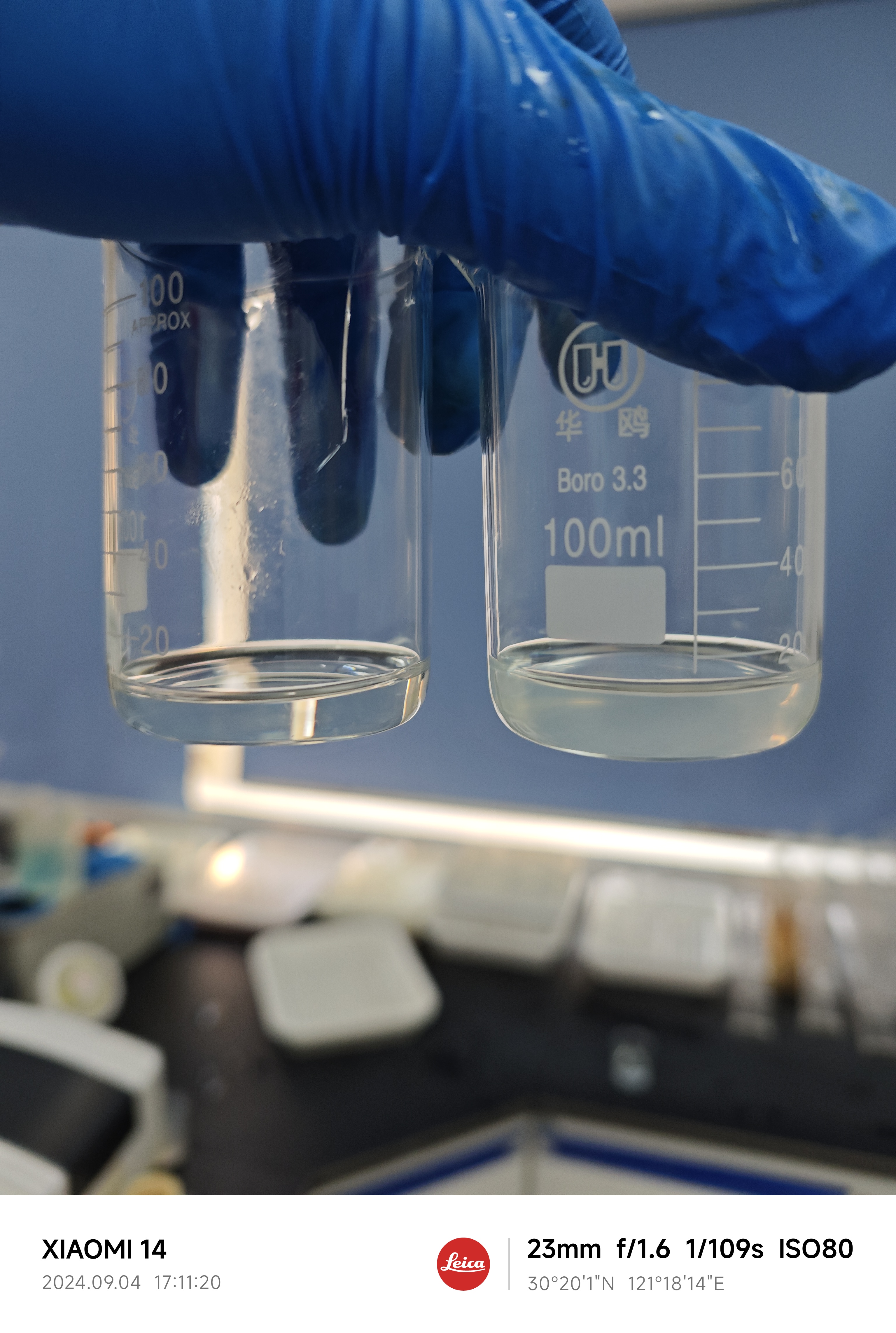 IMG_20240904_171120.jpg|350