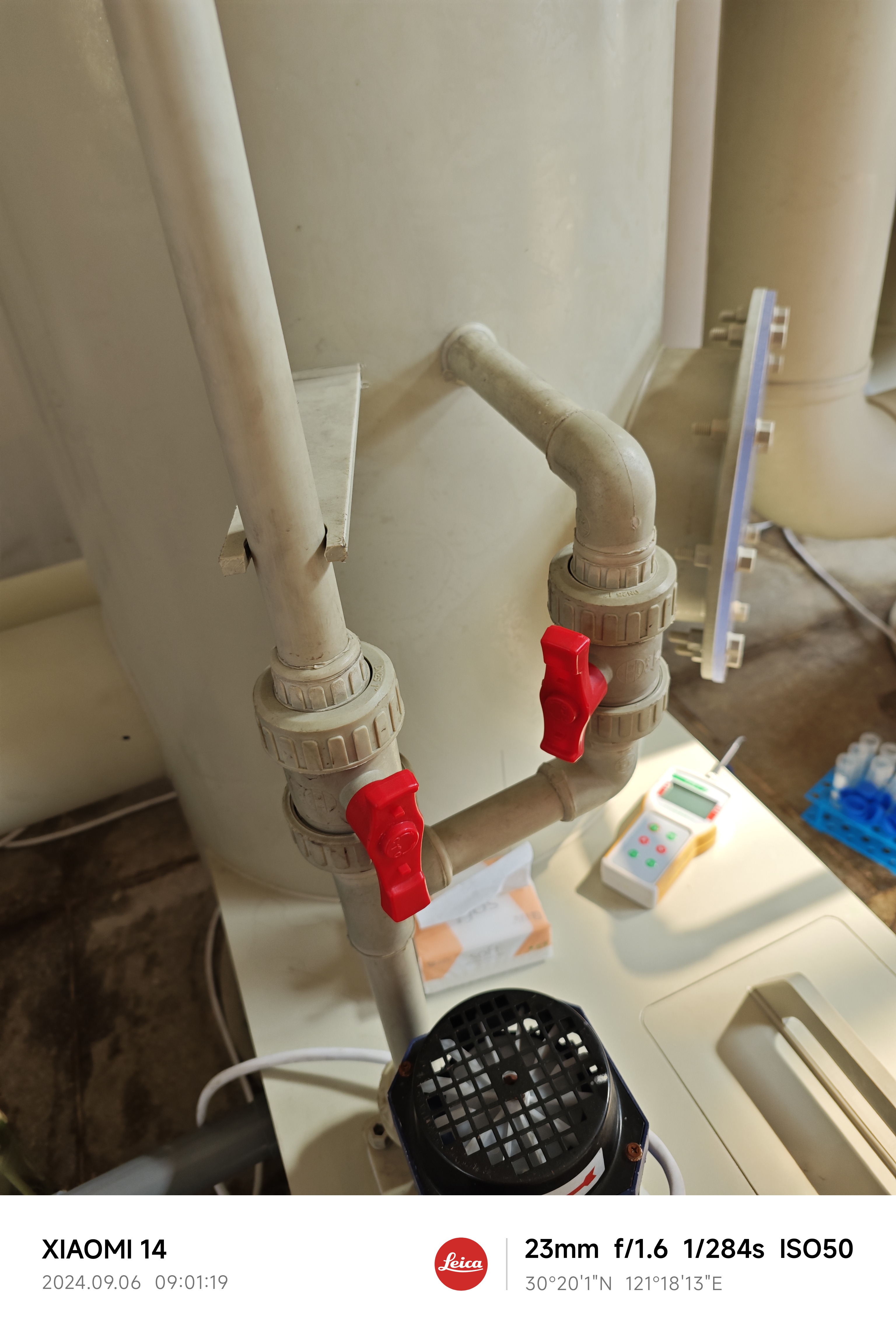 IMG_20240906_090119.jpg|350