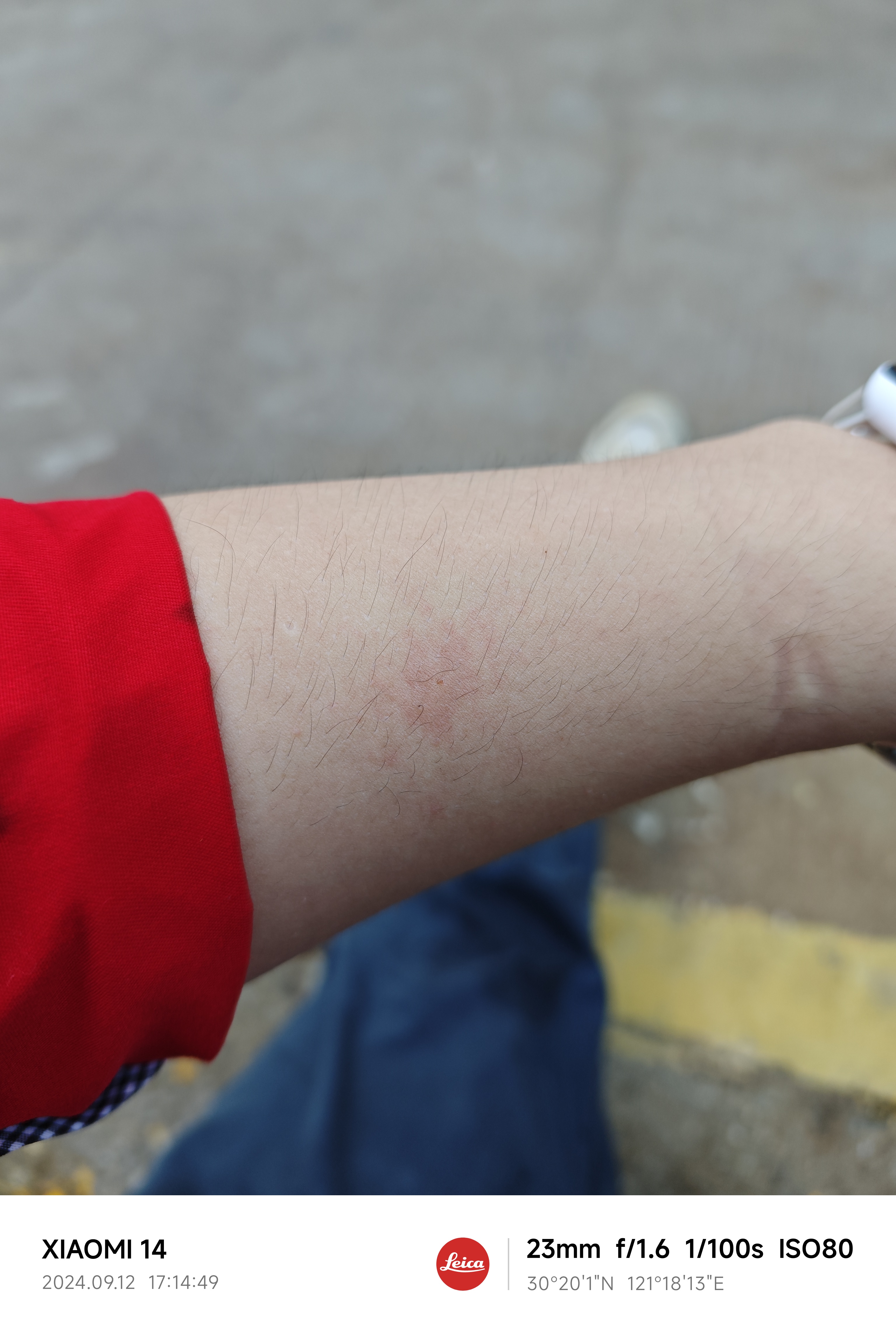 IMG_20240912_171449.jpg|350