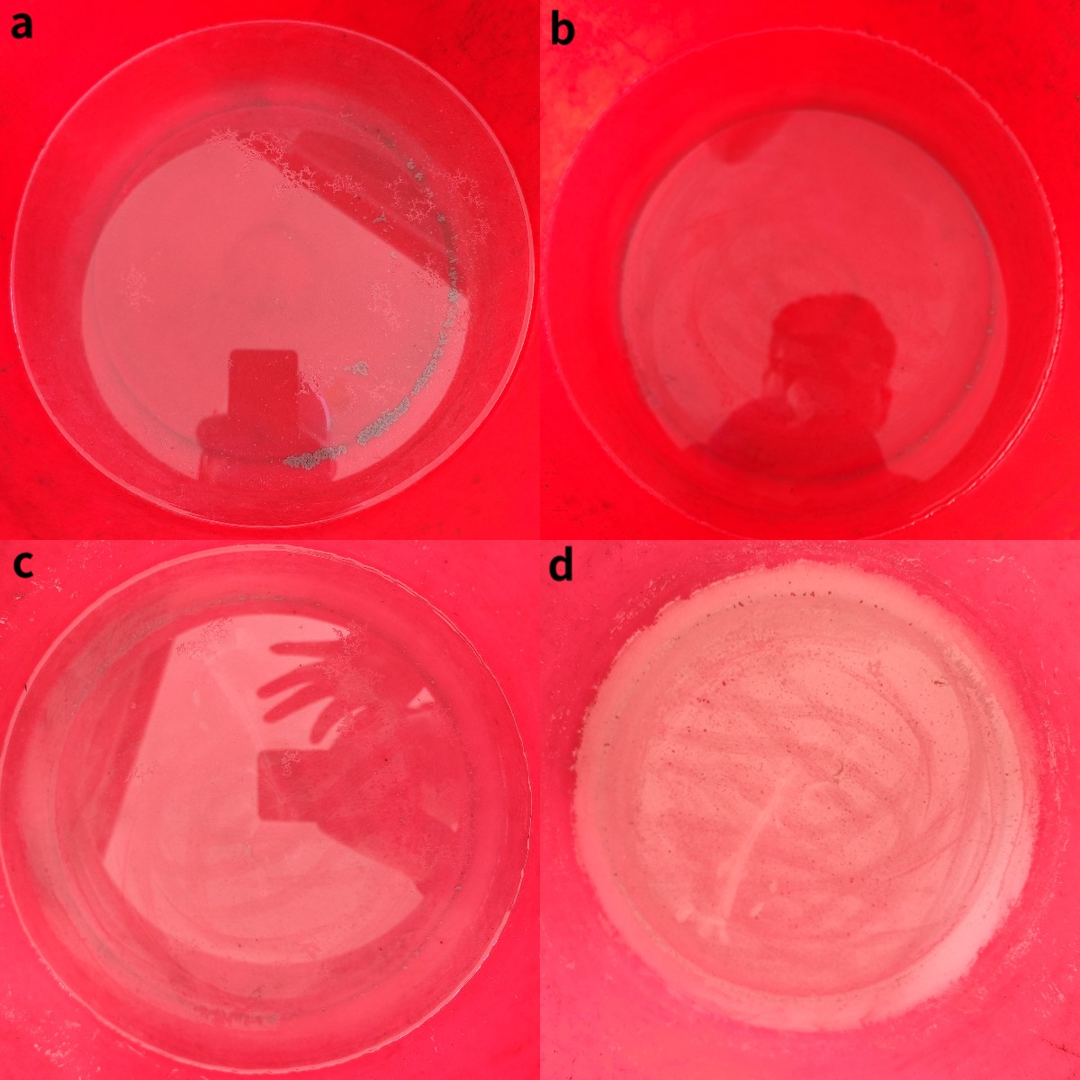 稿定设计导出-20240411-095419|450