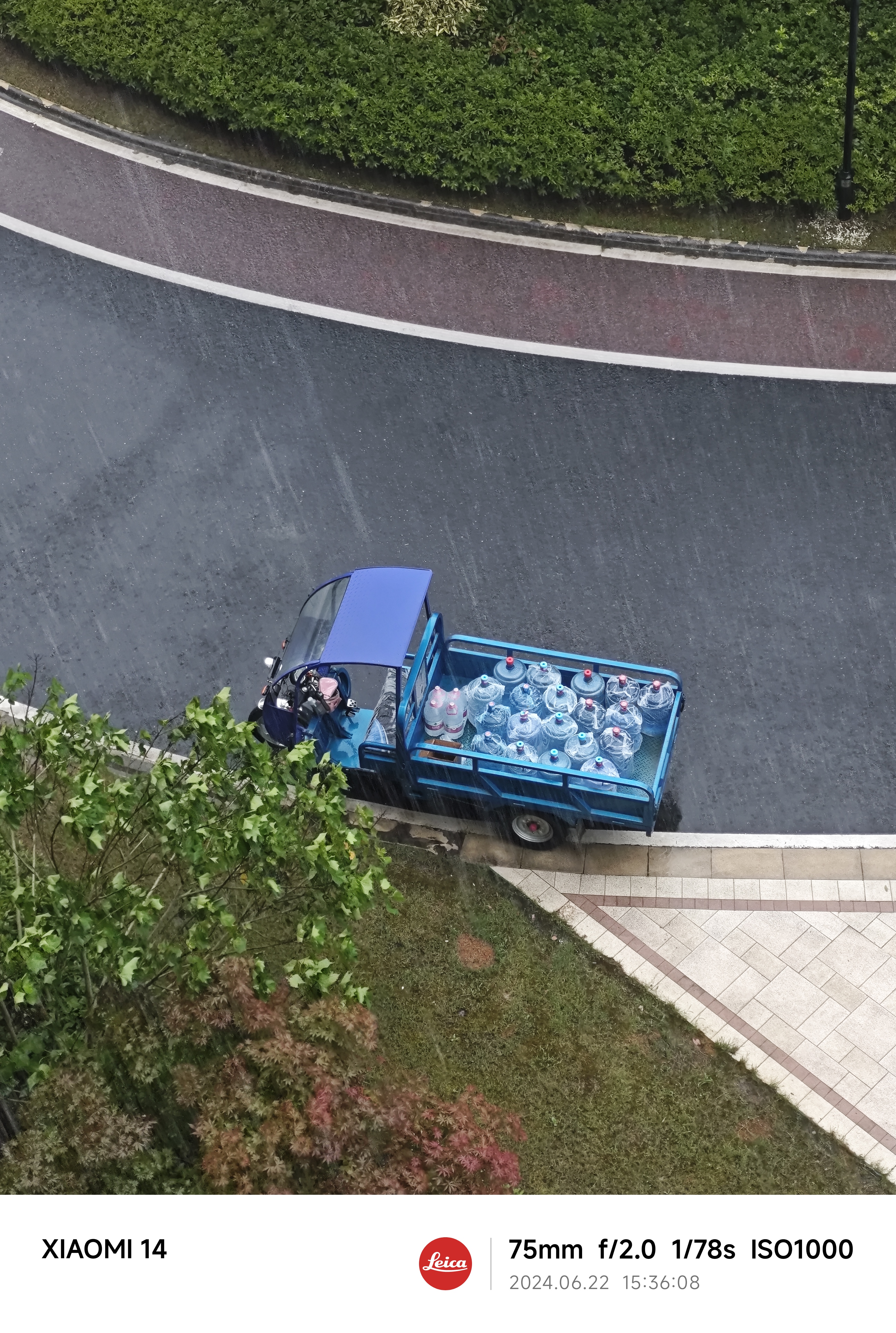 IMG_20240622_153607.jpg|300