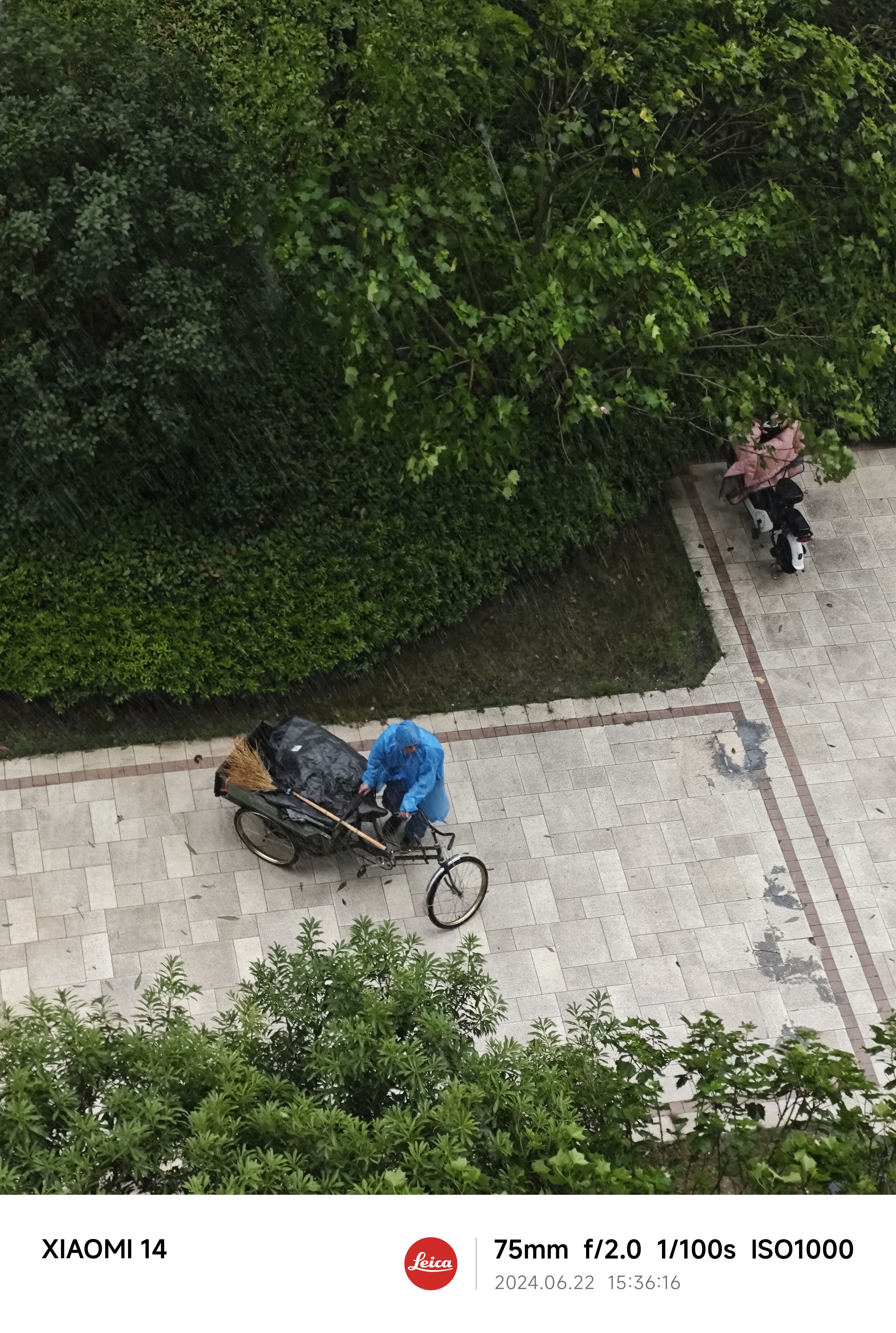 IMG_20240622_153616.jpg|300