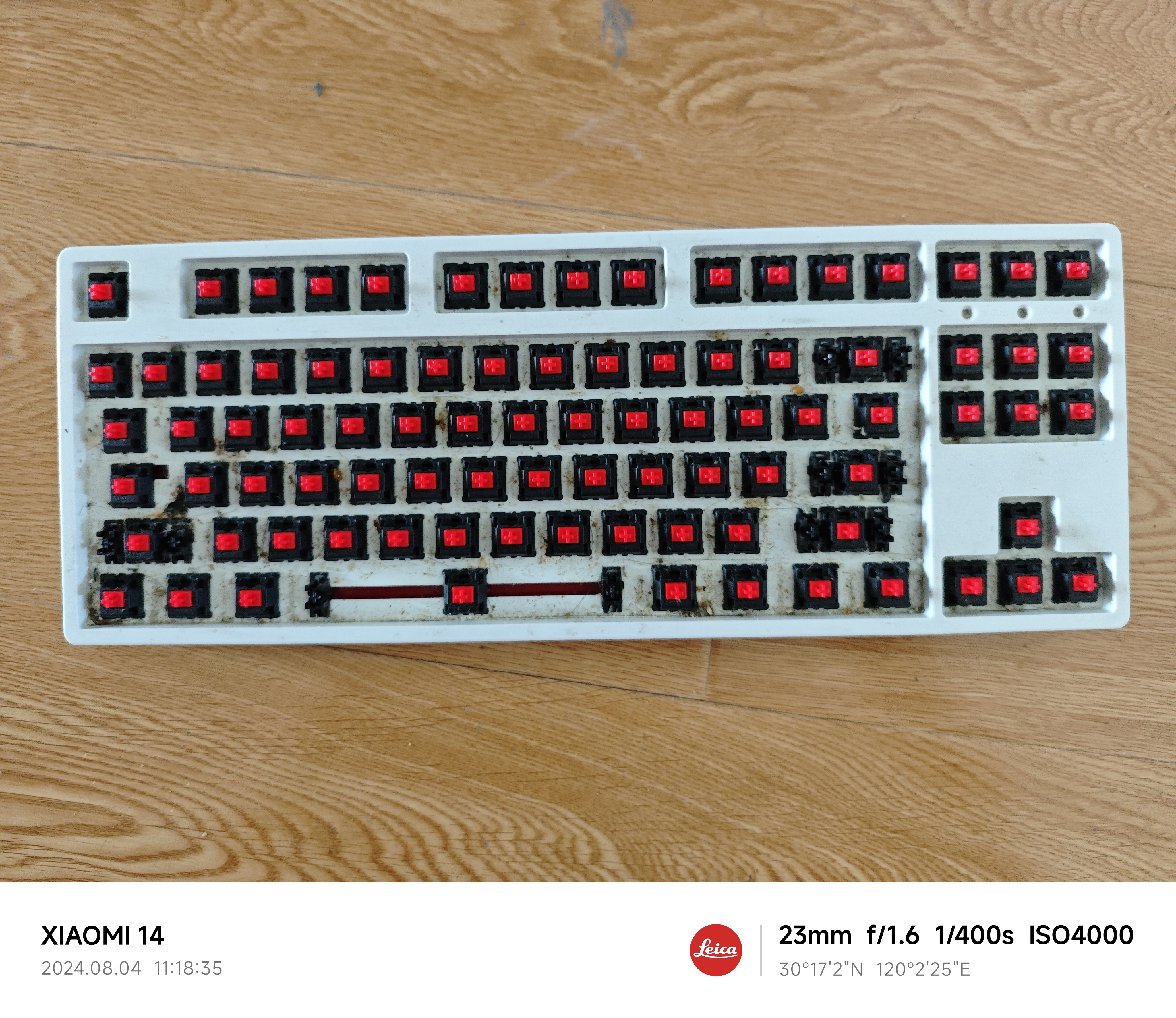 IMG_20240804_111835.jpg|350