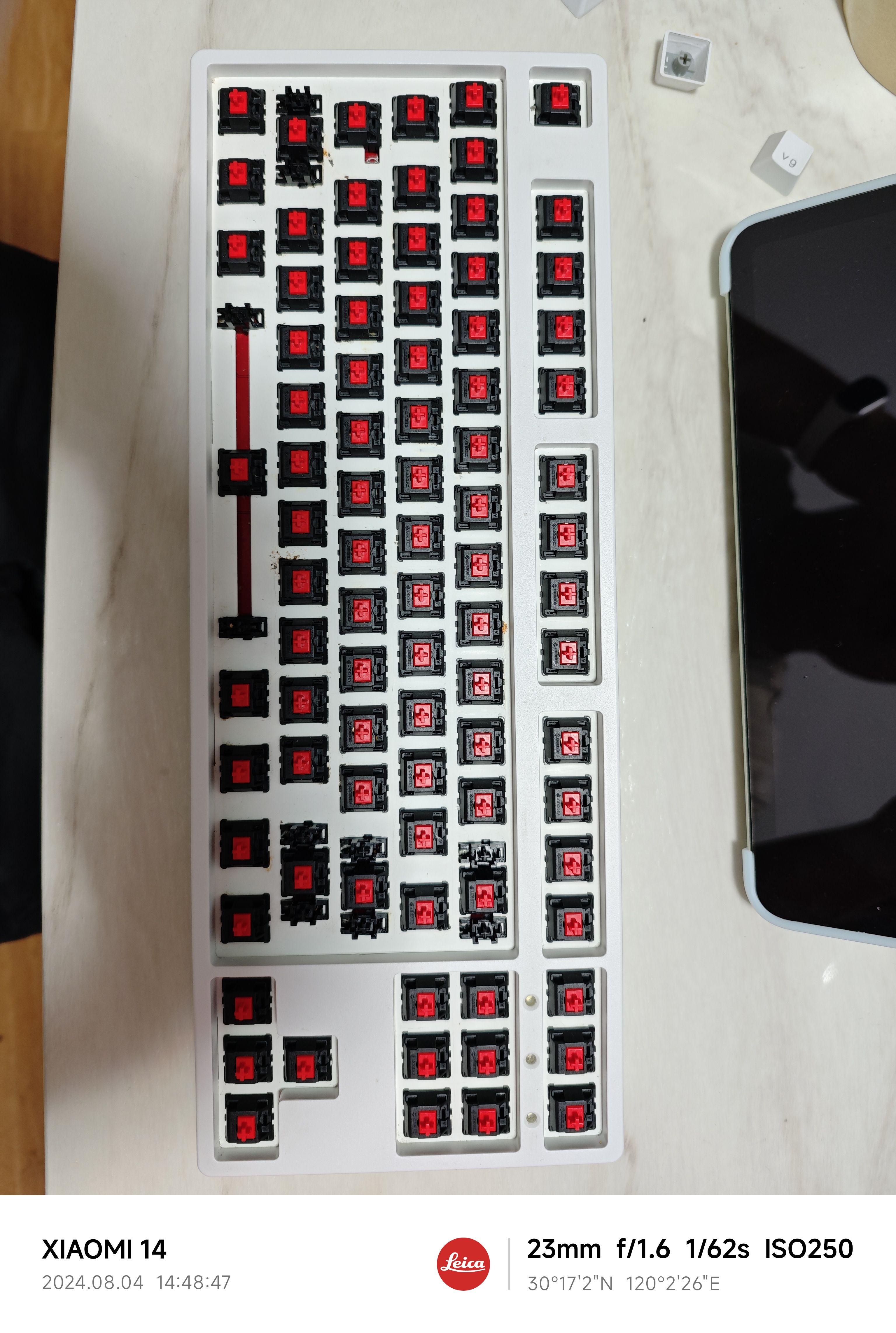 IMG_20240804_144847.jpg|300