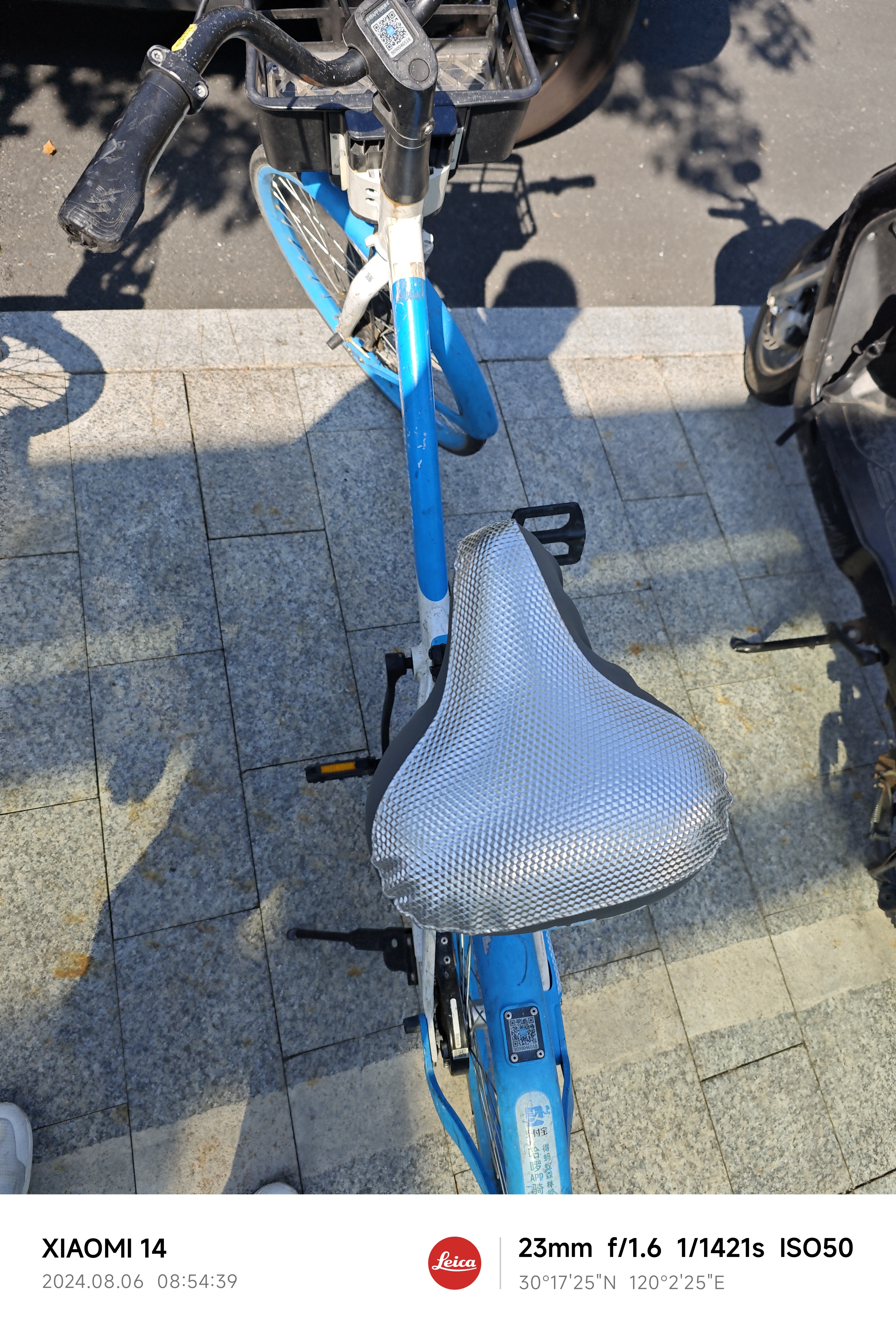 IMG_20240806_085439.jpg|350