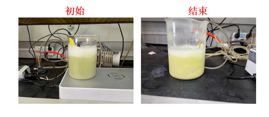 image-20250225153339204