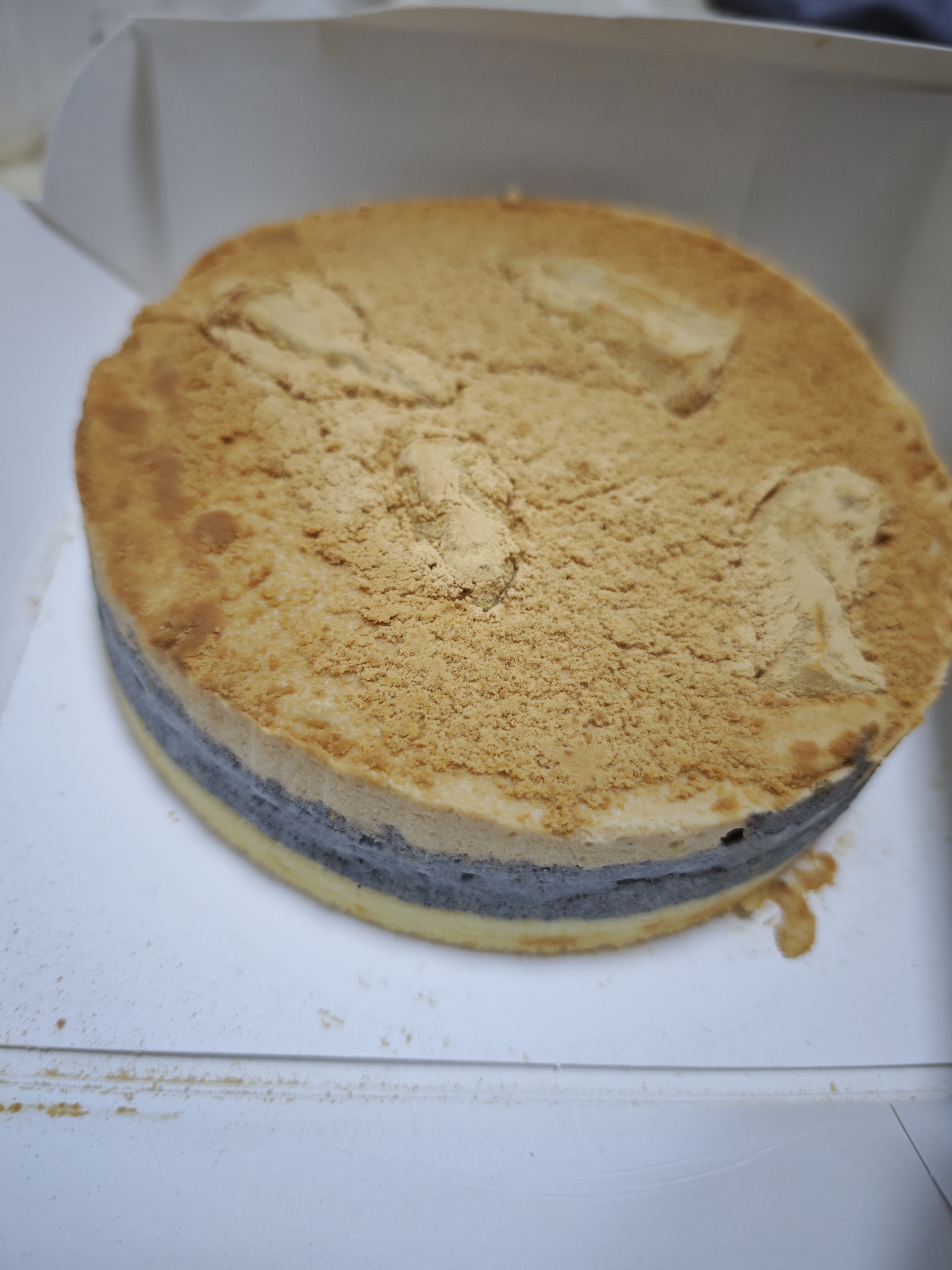 1754148430384_d.jpg|350