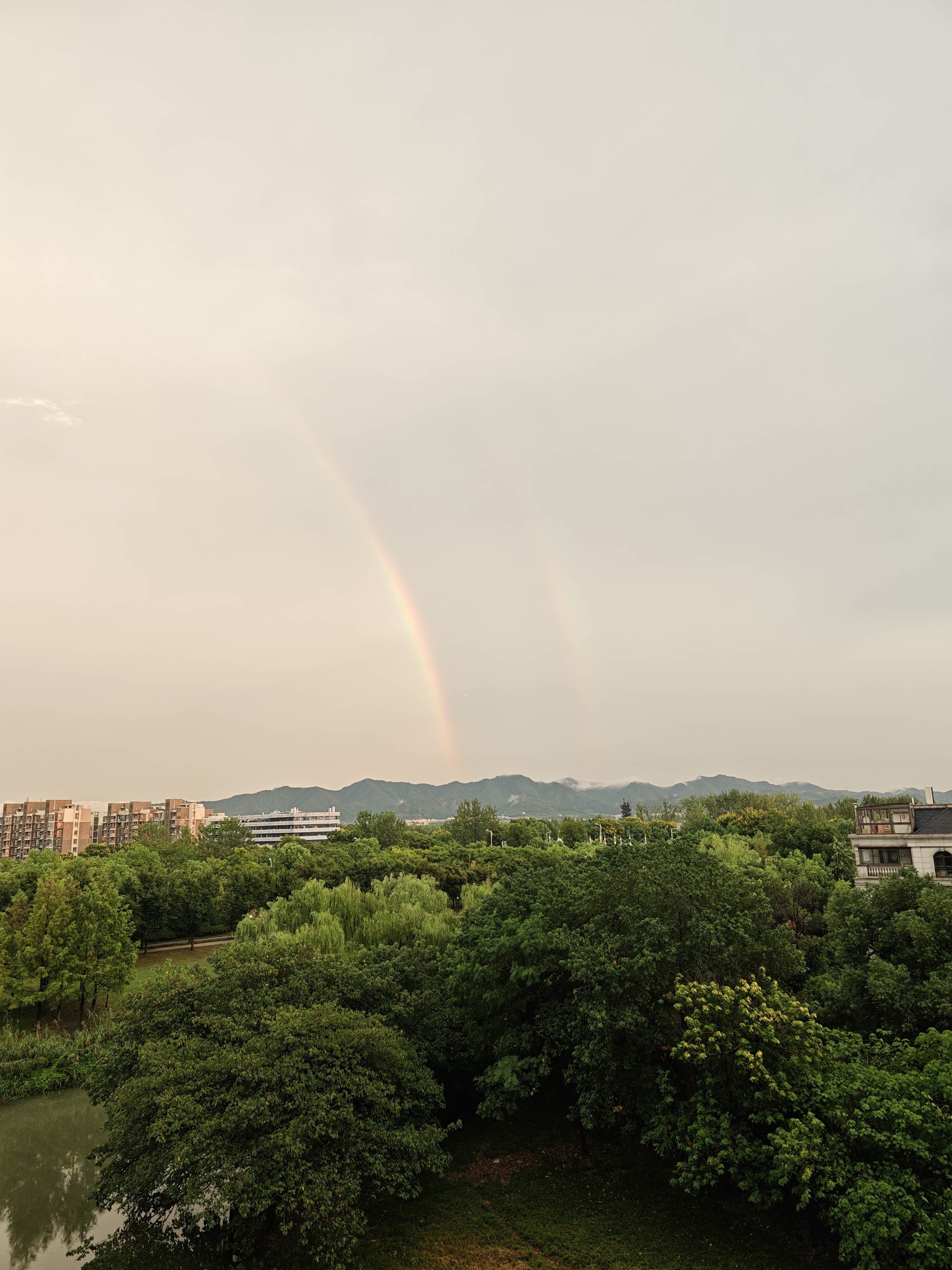 1756905761976_d.jpg|350