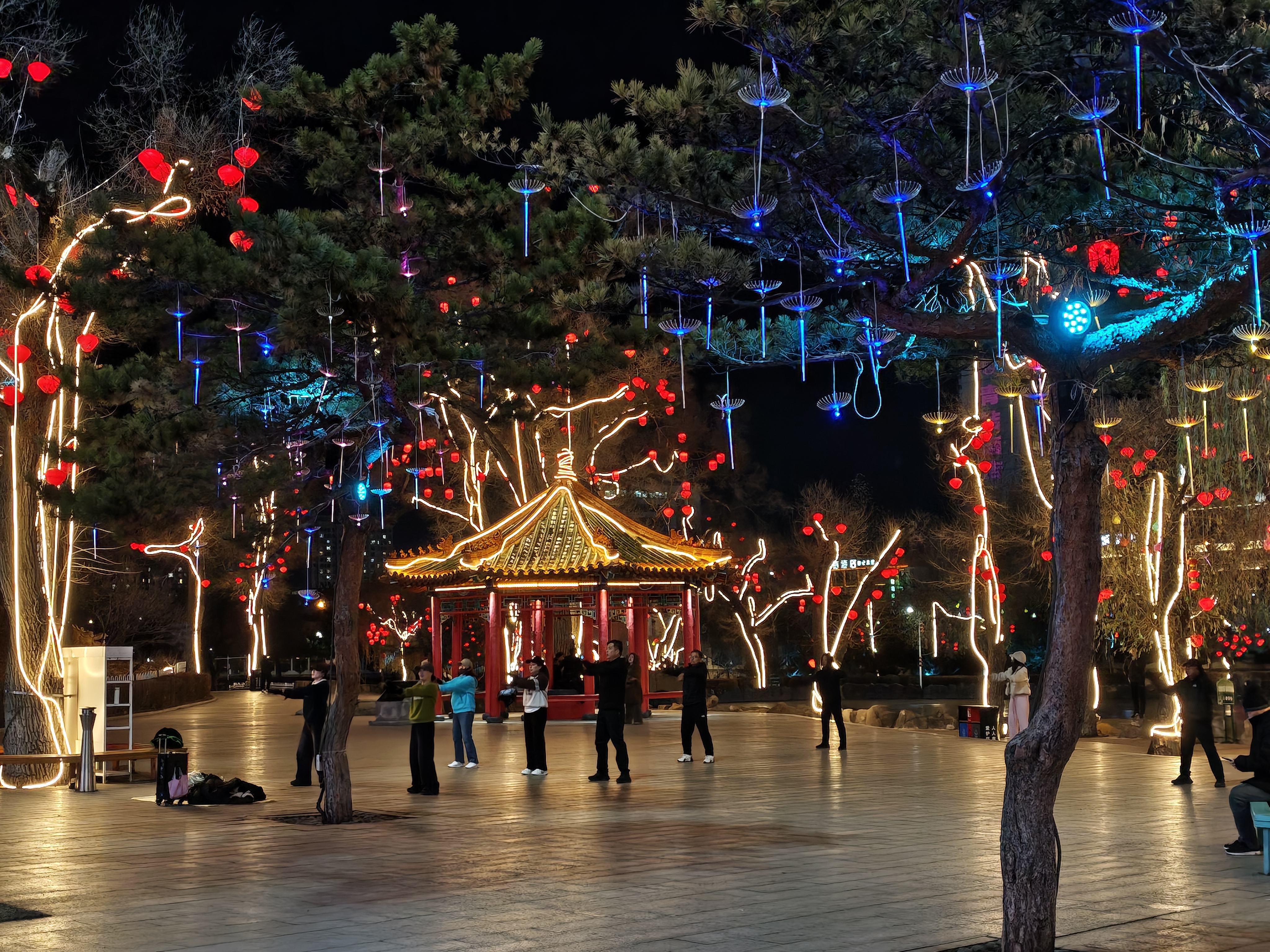 1764082757311_d.jpg|350