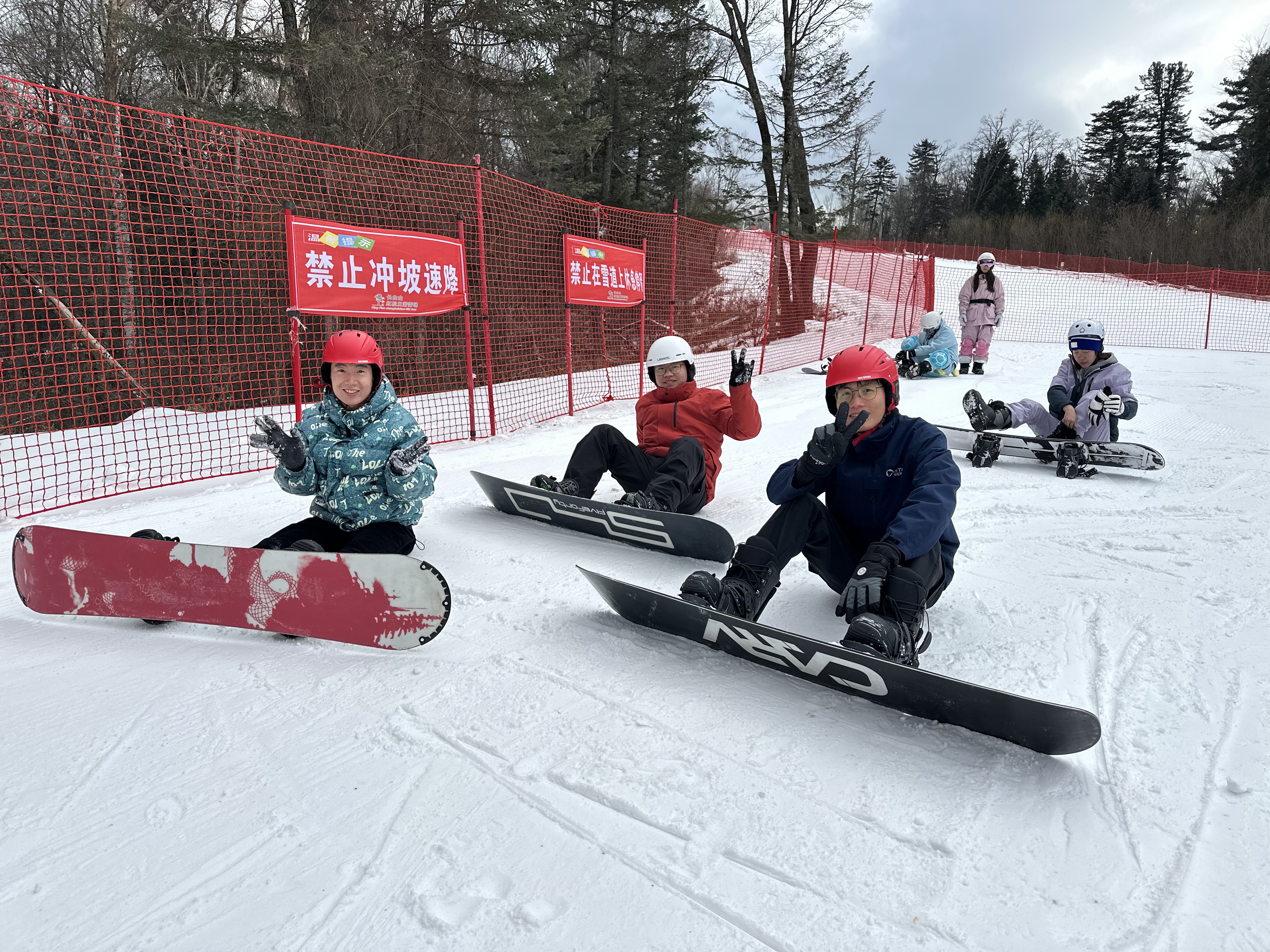 1764082568902_d.jpg|350