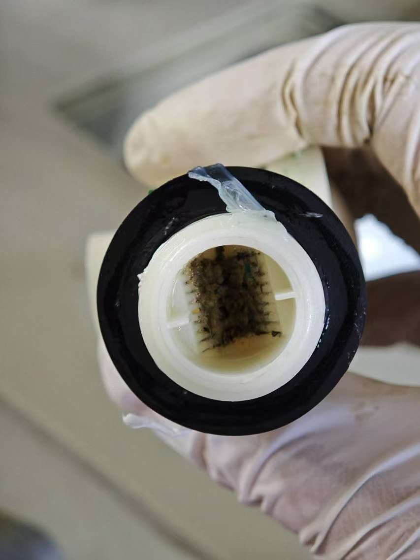 微信图片_20241113083542_20241113083558A004